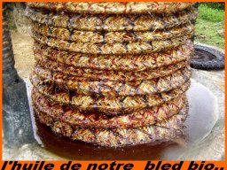 Chouami pour presser les olives écrasées